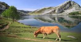 Asturias