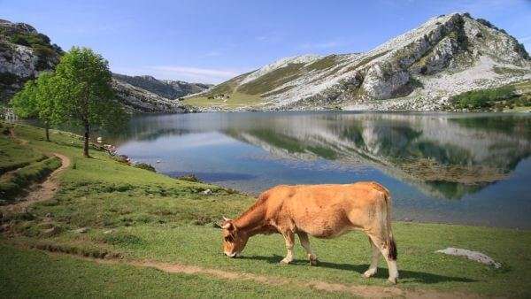 Asturias