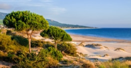 Costa de la Luz