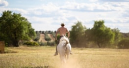 Reiten in Spanien