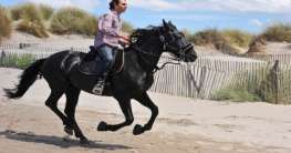Reiten in Spanien