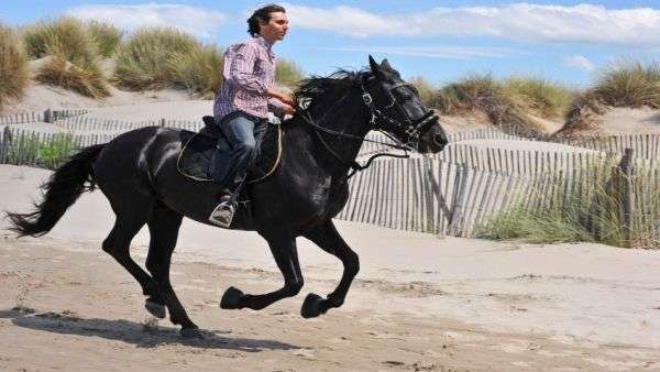 Reiten in Spanien